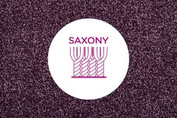 Cross section of cut pile yarns in a saxony carpet on a neutral carpet background